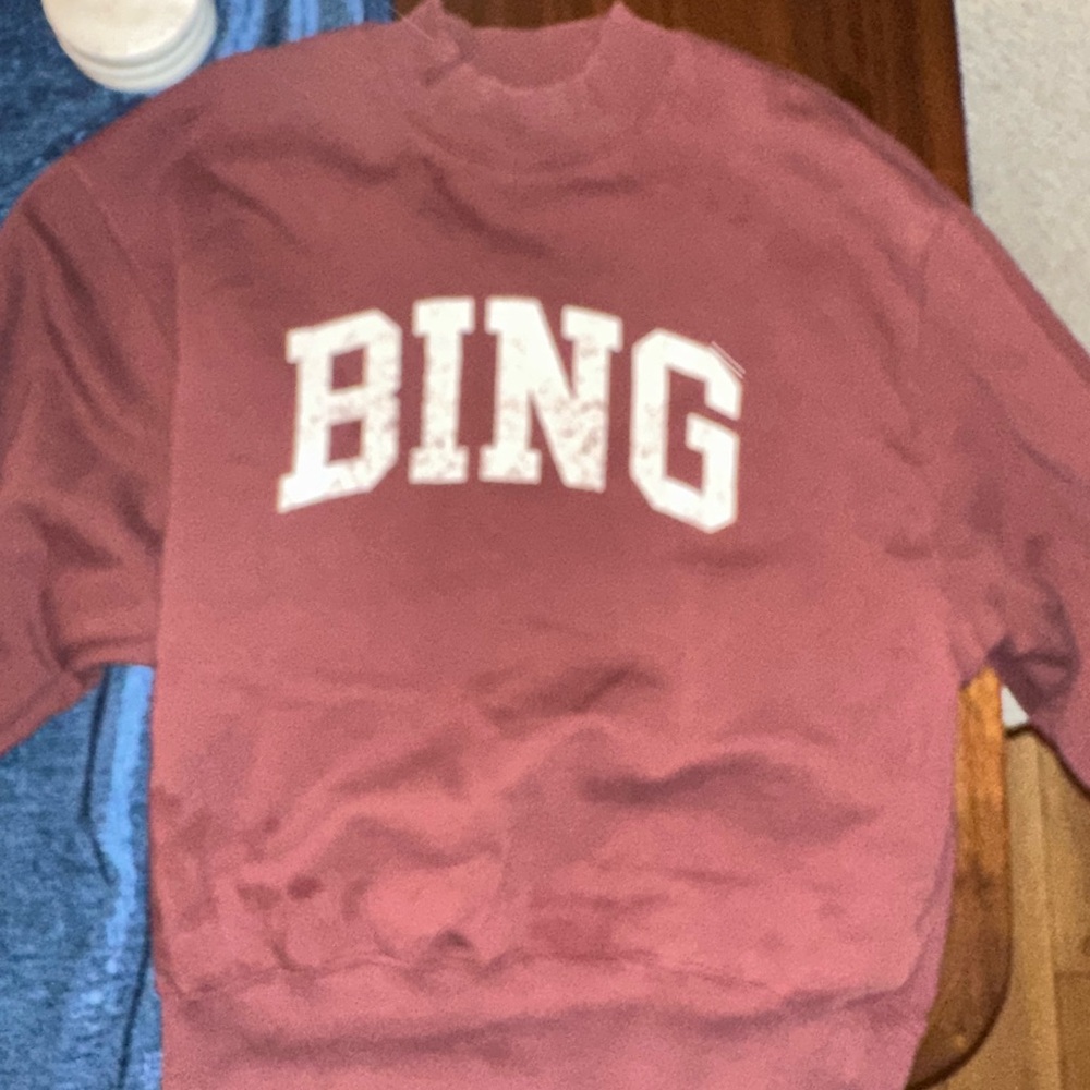 Anine Bing Burgundy Crewneck Sweater